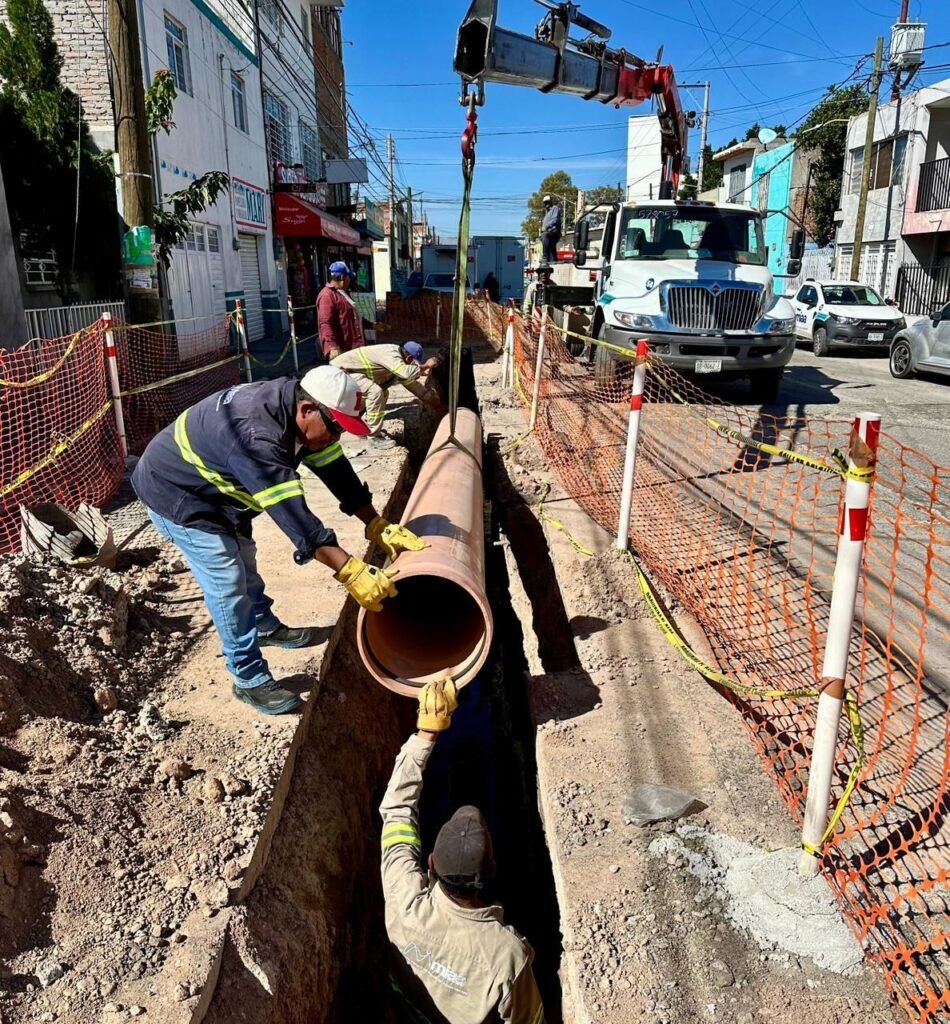 whatsapp image 2025 11 13 at 10.02.16 3