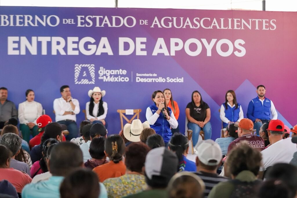 whatsapp image 2025 11 14 at 7.11.56 pm