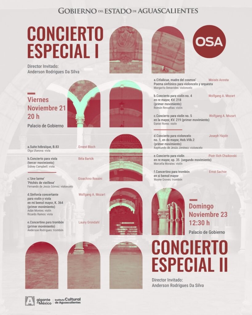 whatsapp image 2025 11 18 at 5.13.32 pm