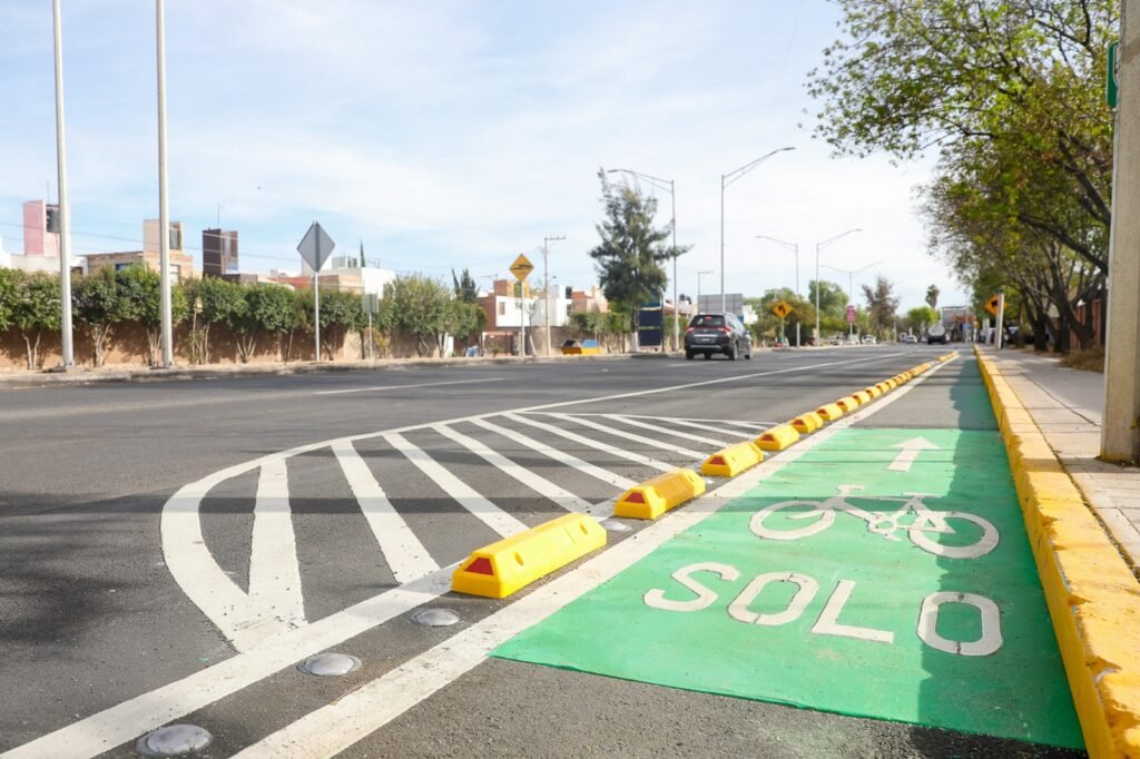 whatsapp image 2025 12 12 at 11.02.12 am