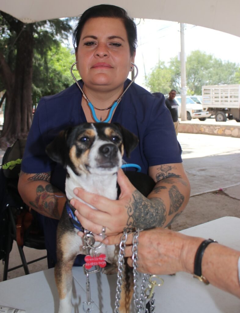 whatsapp image 2025 12 25 at 12.02.44 pm