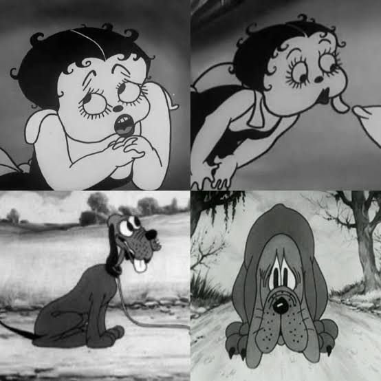 whatsapp image 2026 01 03 at 00.51.23