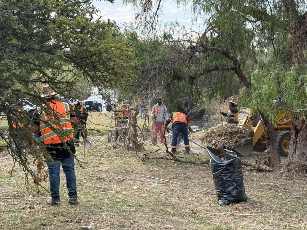 whatsapp image 2026 01 18 at 12.01.10 pm (1)