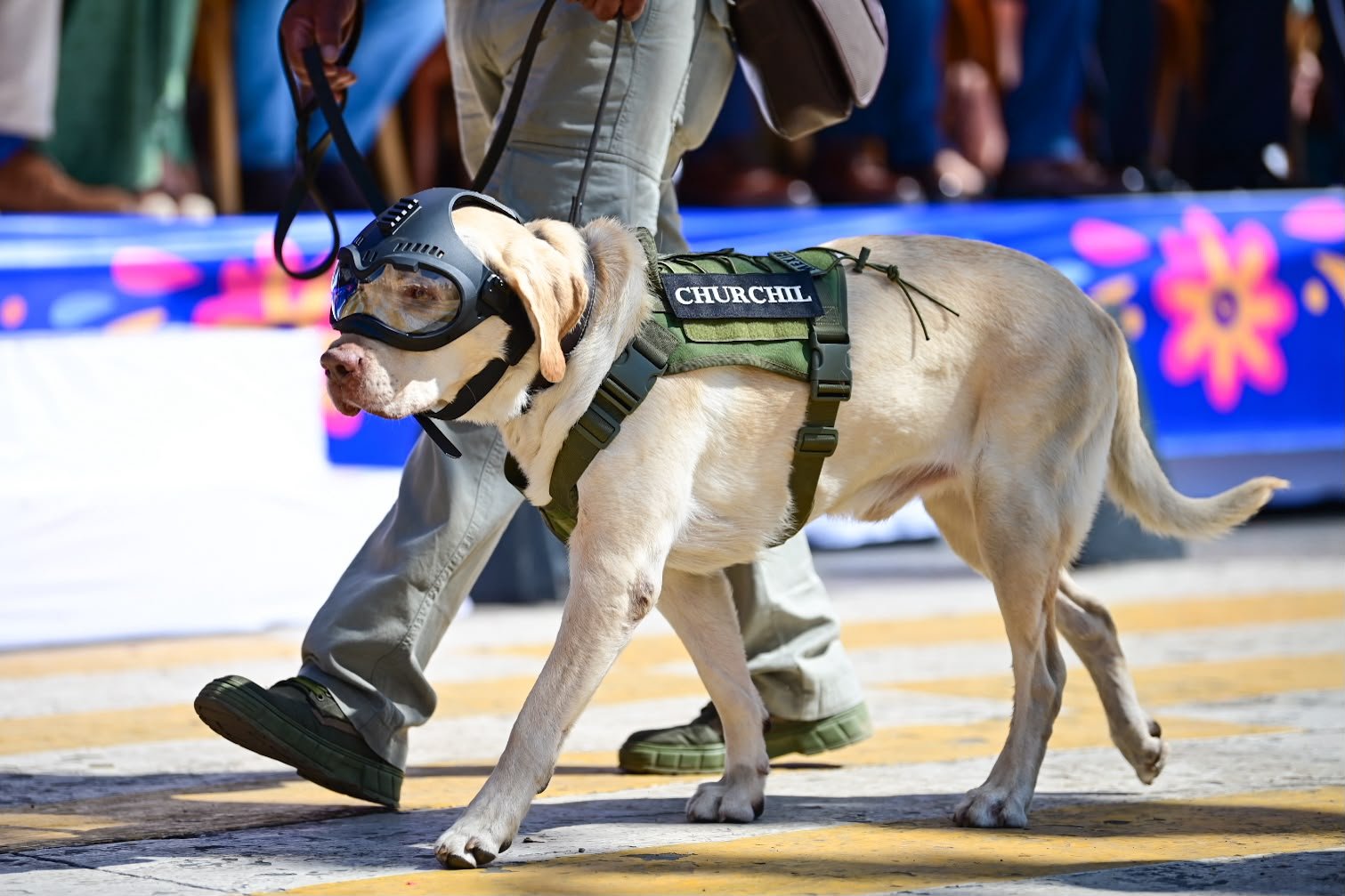 MÁS DE 3 MIL PARTICIPANTES DAN VIDA AL DESFILE DE INDEPENDENCIA ENCABEZADO POR TERE JIMÉNEZ 22ec5dcd 7f63 42a7 9399 82cc39f61bb3